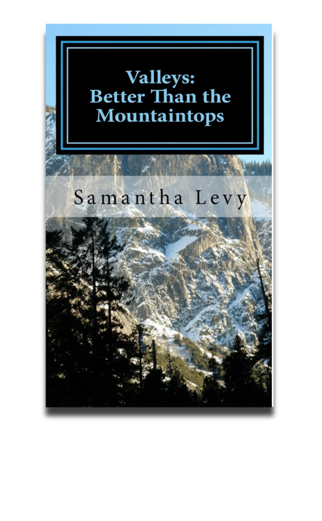 book-longer-version1